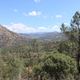 Illustration for article titled Toby Hike Day: Wellbarn Road to San Joaquin River Trail